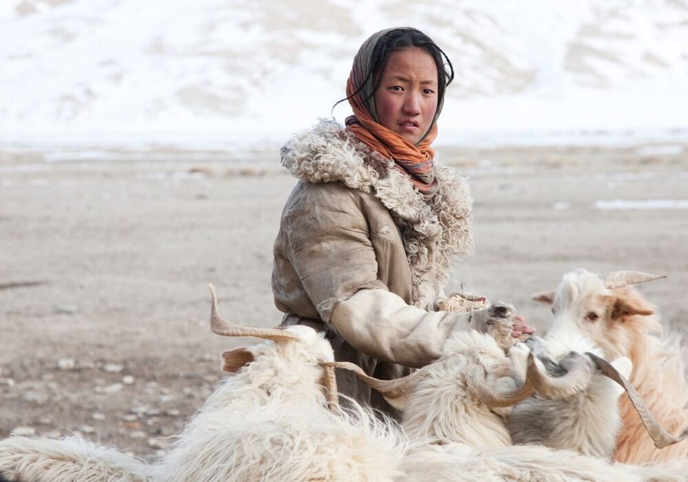 The True Story – The Chang Tang-Pa